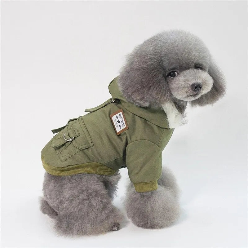 Small dog wearing a grey cotton and wool hooded coat standing on grass