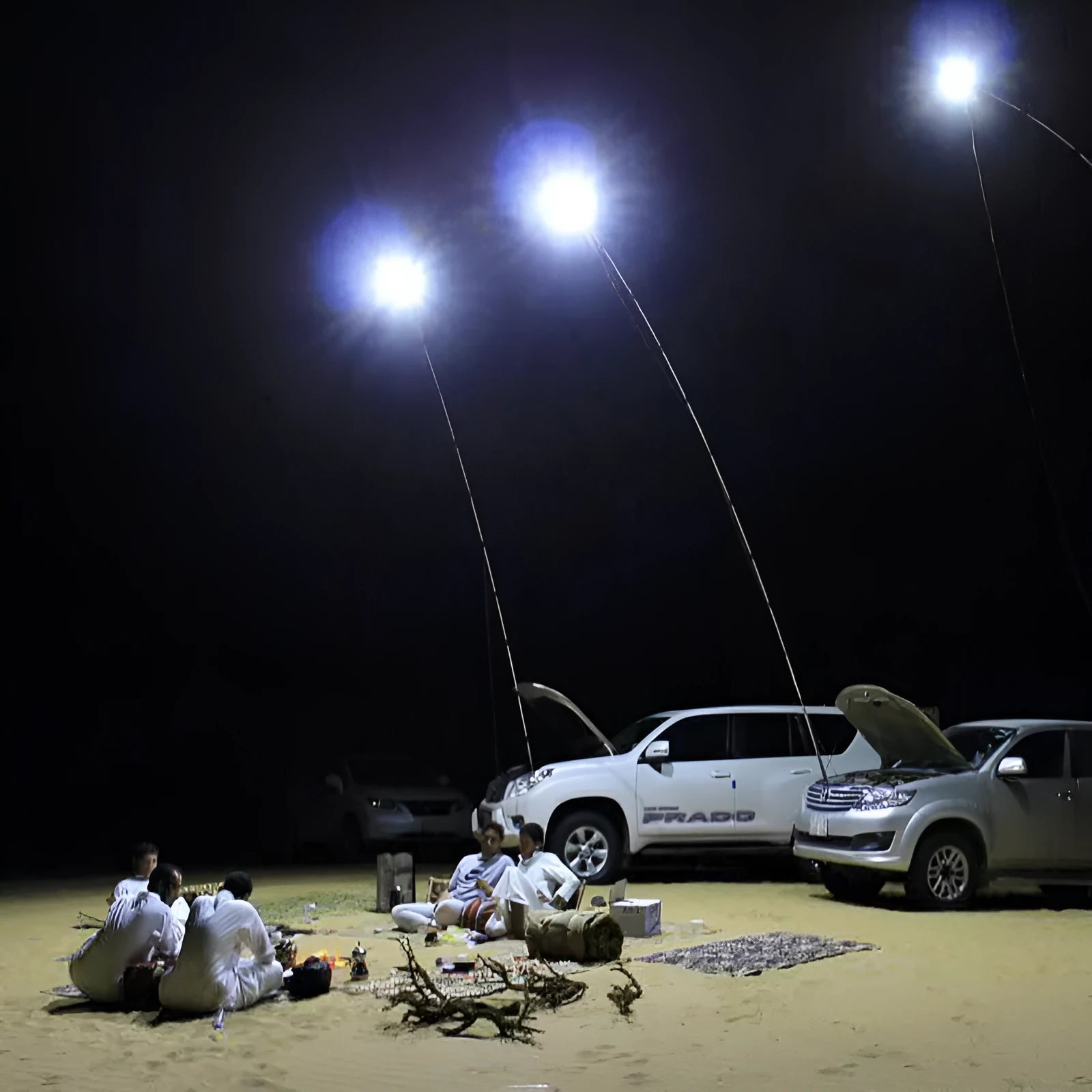 White LED fishing rod light unit on a tall telescopic pole with a remote control, for outdoor night use.