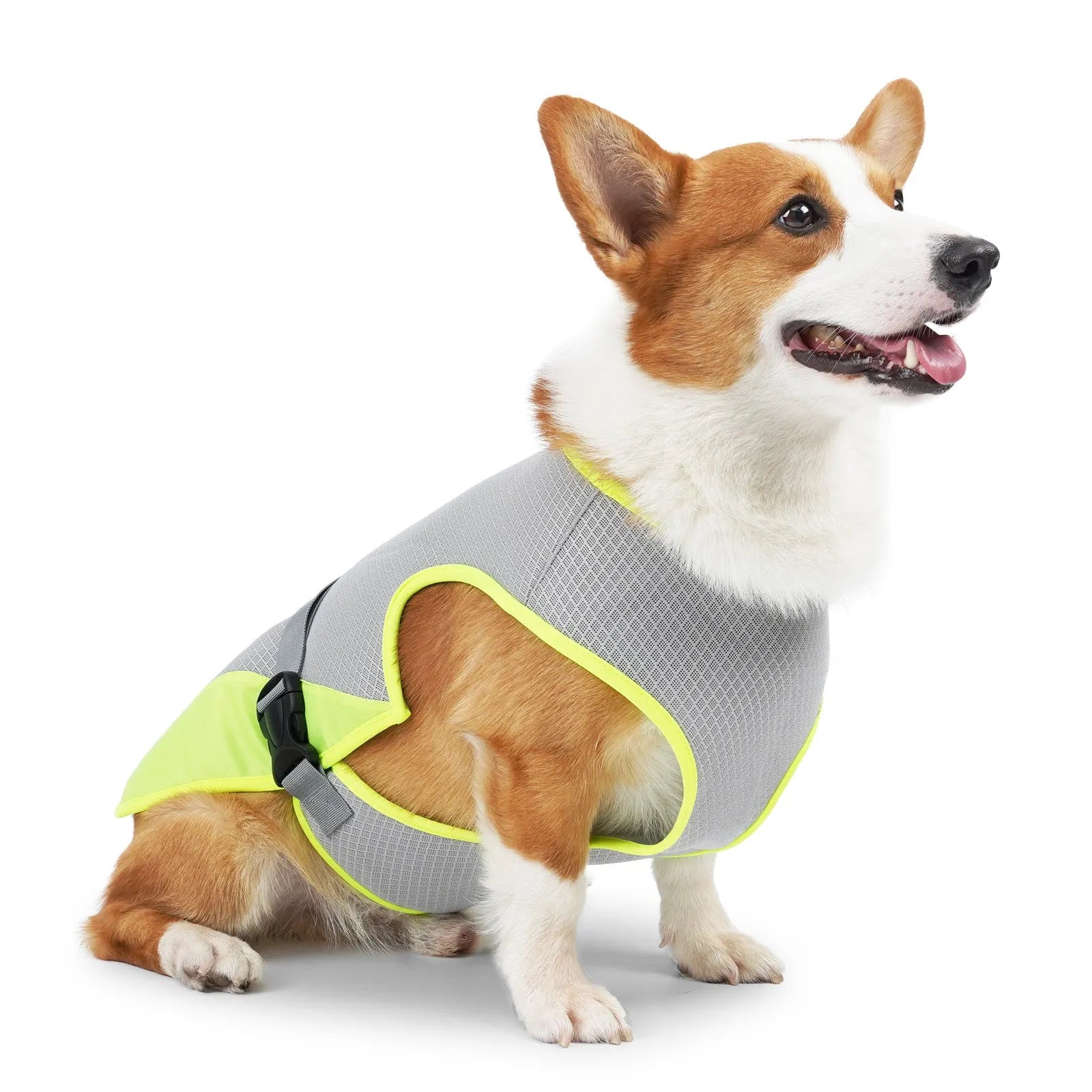 Light grey polyester mesh dog cooling vest on a medium-sized dog outdoors.