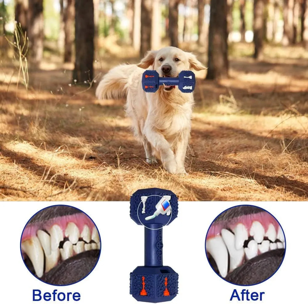Rubber dumbbell dog chew toy for aggressive chewers with 3D texture and hollow treat compartments