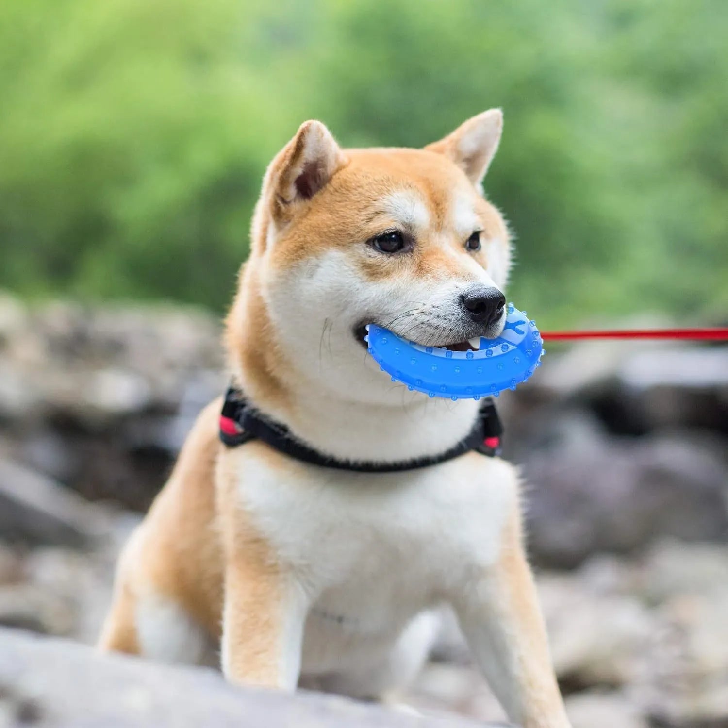 Freezable blue dog chew toy with textured surface for cooling and dental care.