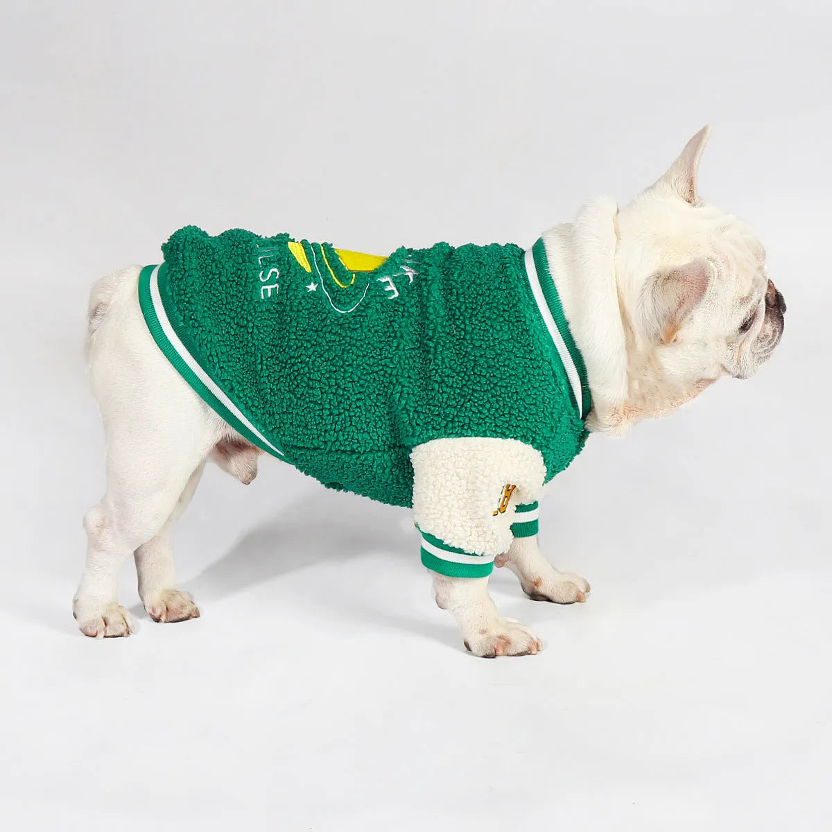Green fleece-lined winter coat for dogs on larger breed in cotton fabric