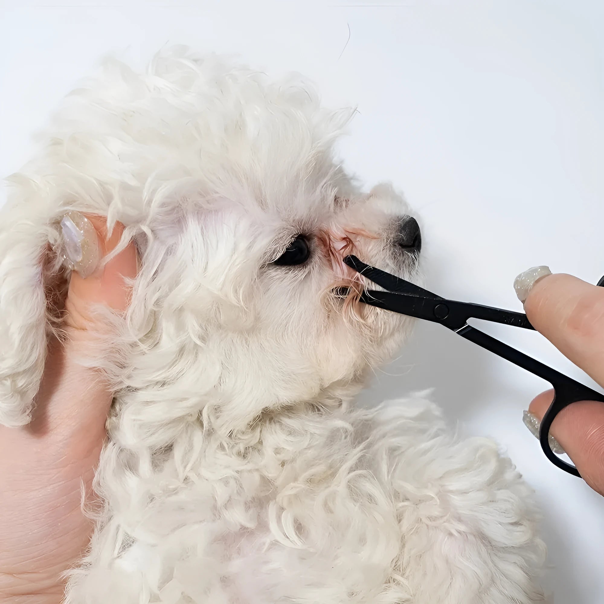 Black pet grooming brush with soft bristles and a comb for gentle eye cleaning on dogs and cats.