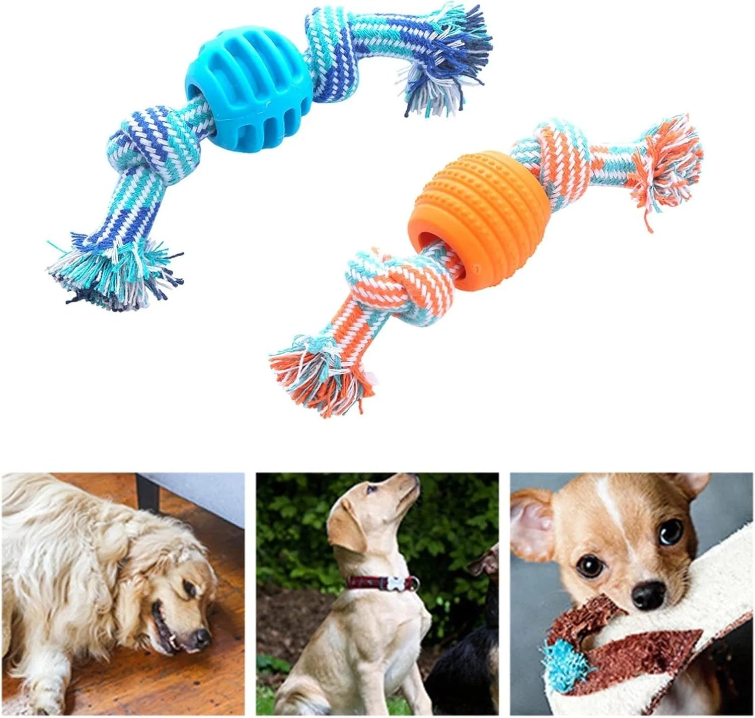 Set of four colourful soft dog chew toys with molar shapes and rope ends on a white background.