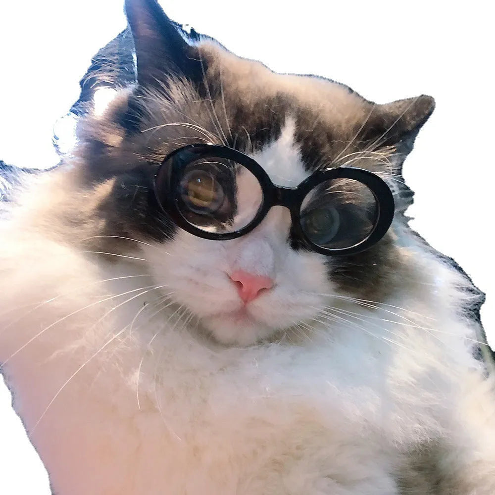 Pet dog cat multi-color sunglasses with UV380 protection PC lens resin frame round style