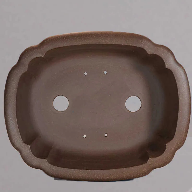 Purple clay rectangular begonia flower pot 51x41cm on desktop