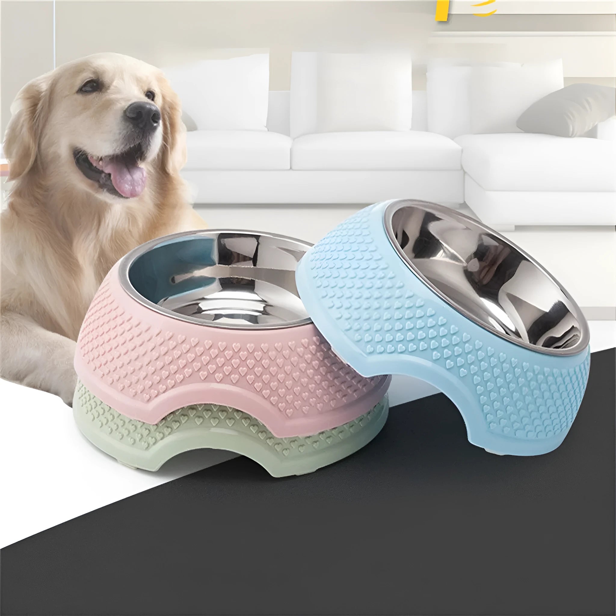Stainless steel pet bowl with non-slip base in blue, green, or pink colours