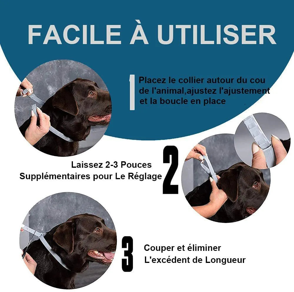 Rainbow plastic anti-lice collar for cats and dogs in 38cm and 62cm sizes
