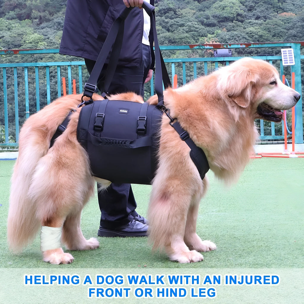 Black Oxford cloth dog rehabilitation harness with adjustable leg support straps