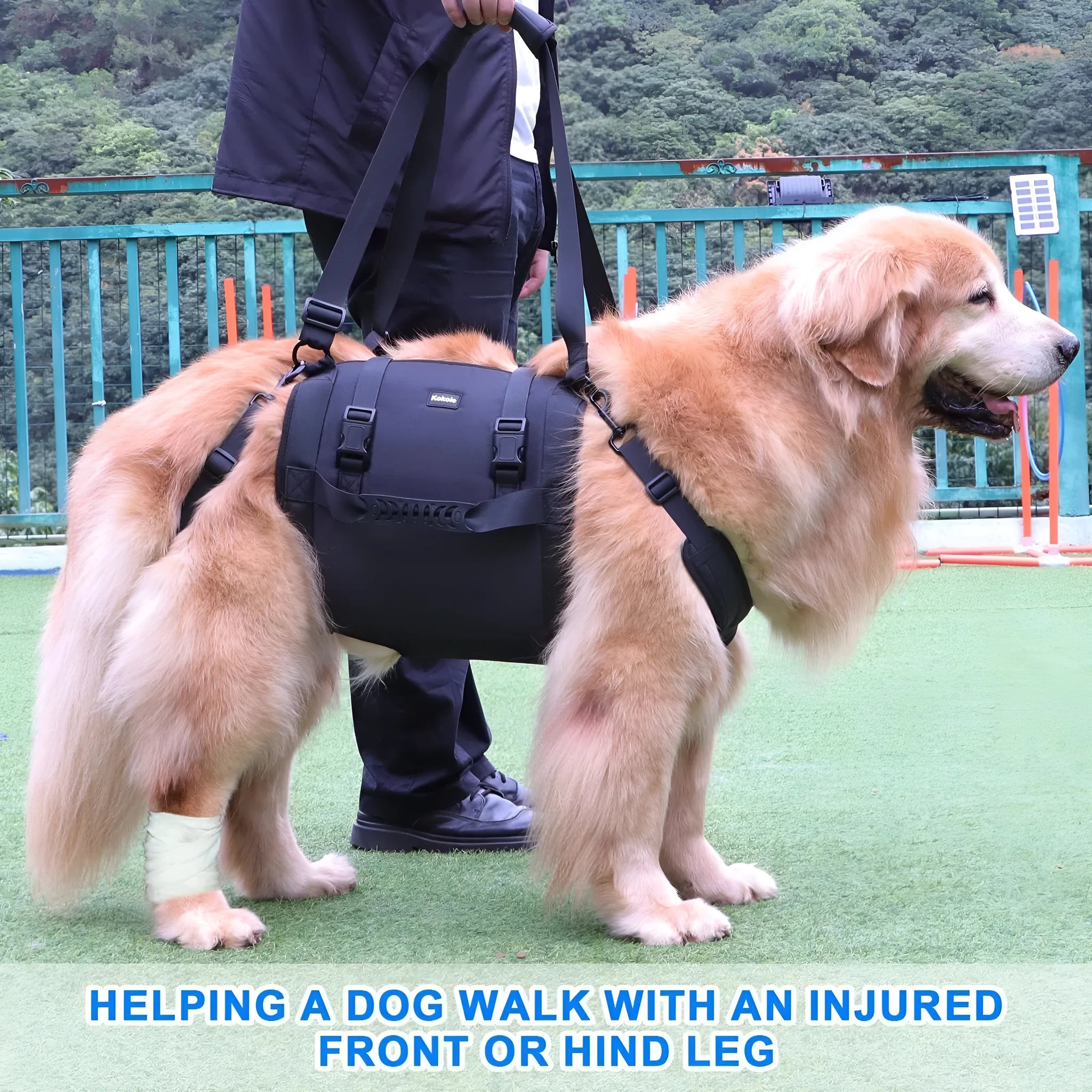 Black Oxford cloth dog rehabilitation harness with adjustable leg support straps