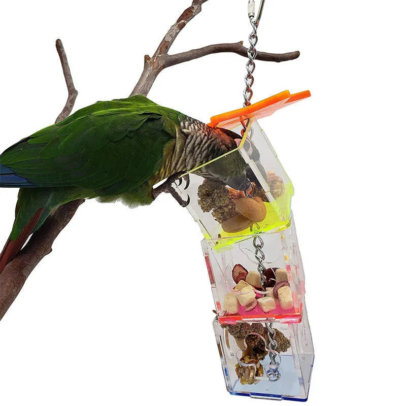 Clear acrylic bird foraging toy 32cm tall with 5x5cm base for parrots