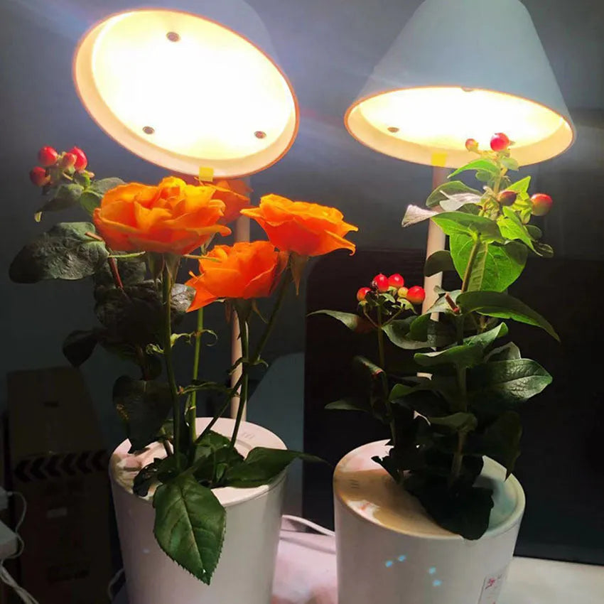 White plastic desktop hydroponic plant growth machine for soilless indoor cultivation.