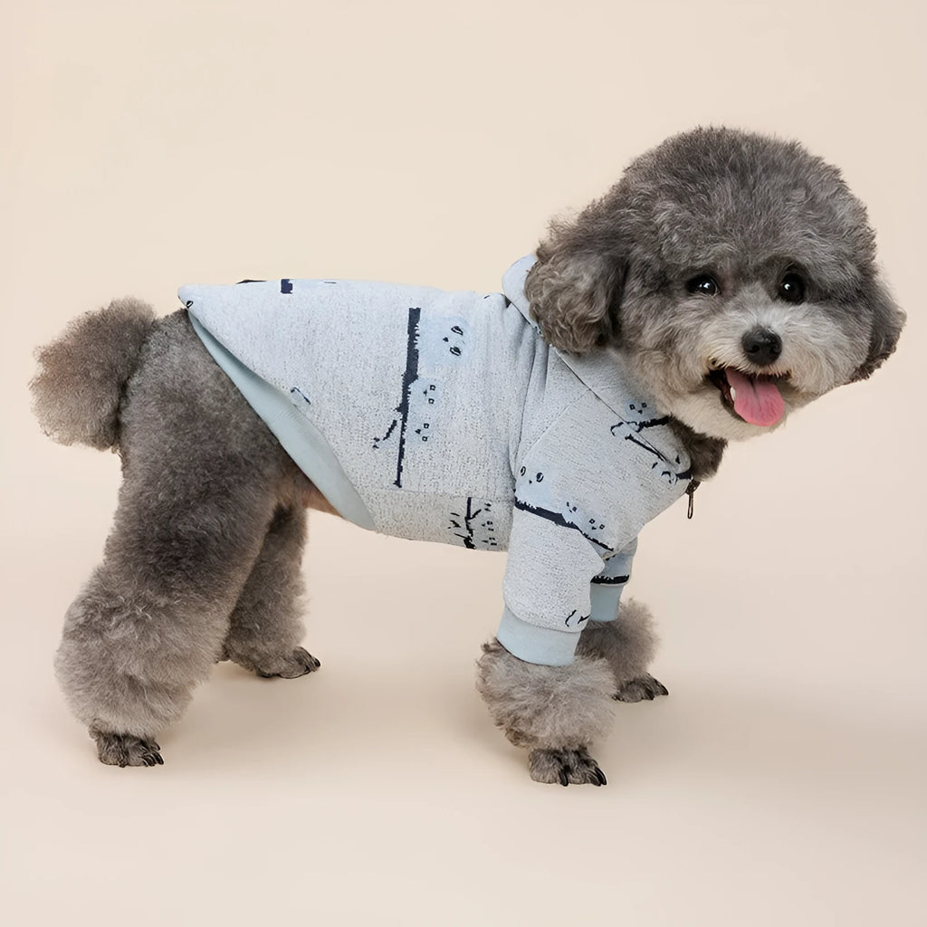 Blue cotton dog pattern sweater coat with front zipper closure on dog model