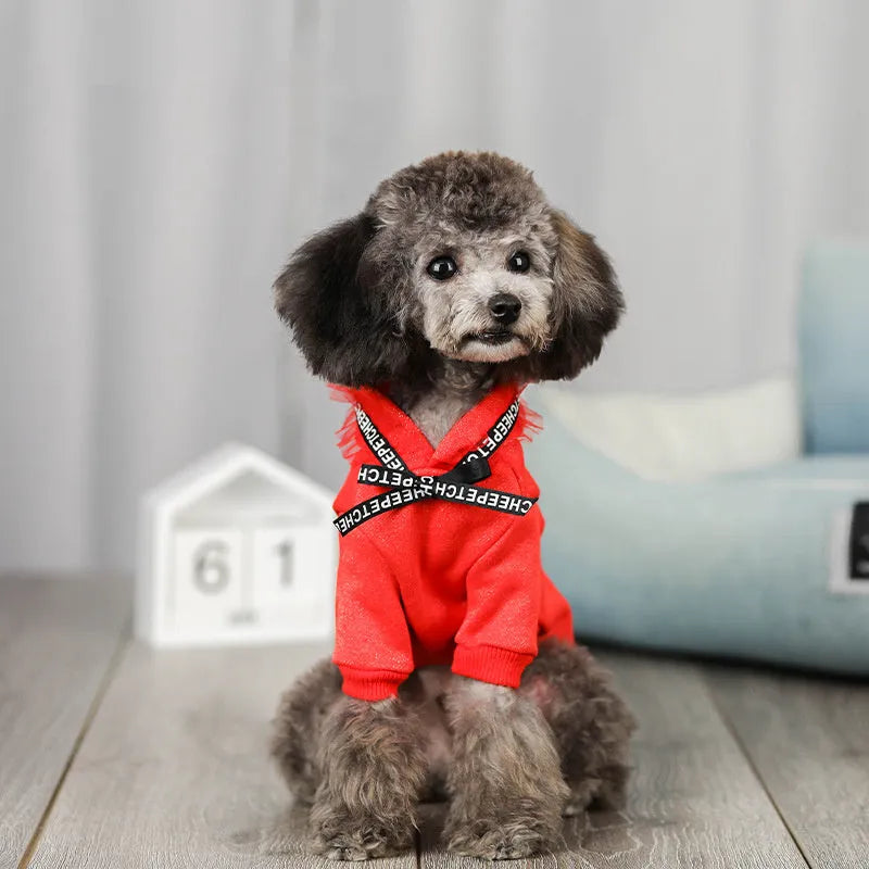 Casual cotton pet clothing with webbing in Black, available in multiple sizes