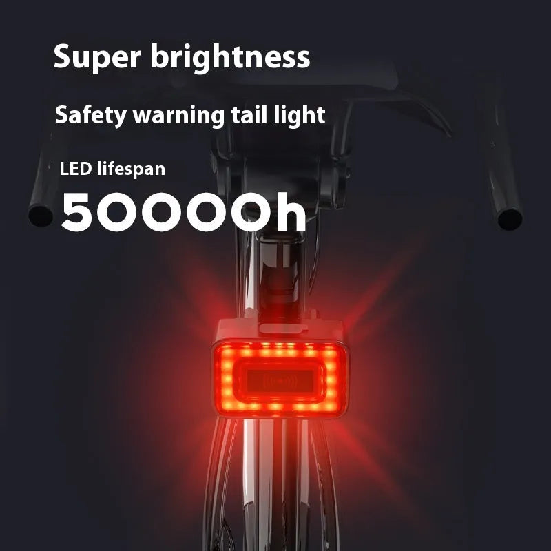 Compact black bicycle radar taillight with double mounting bracket shown from the rear.