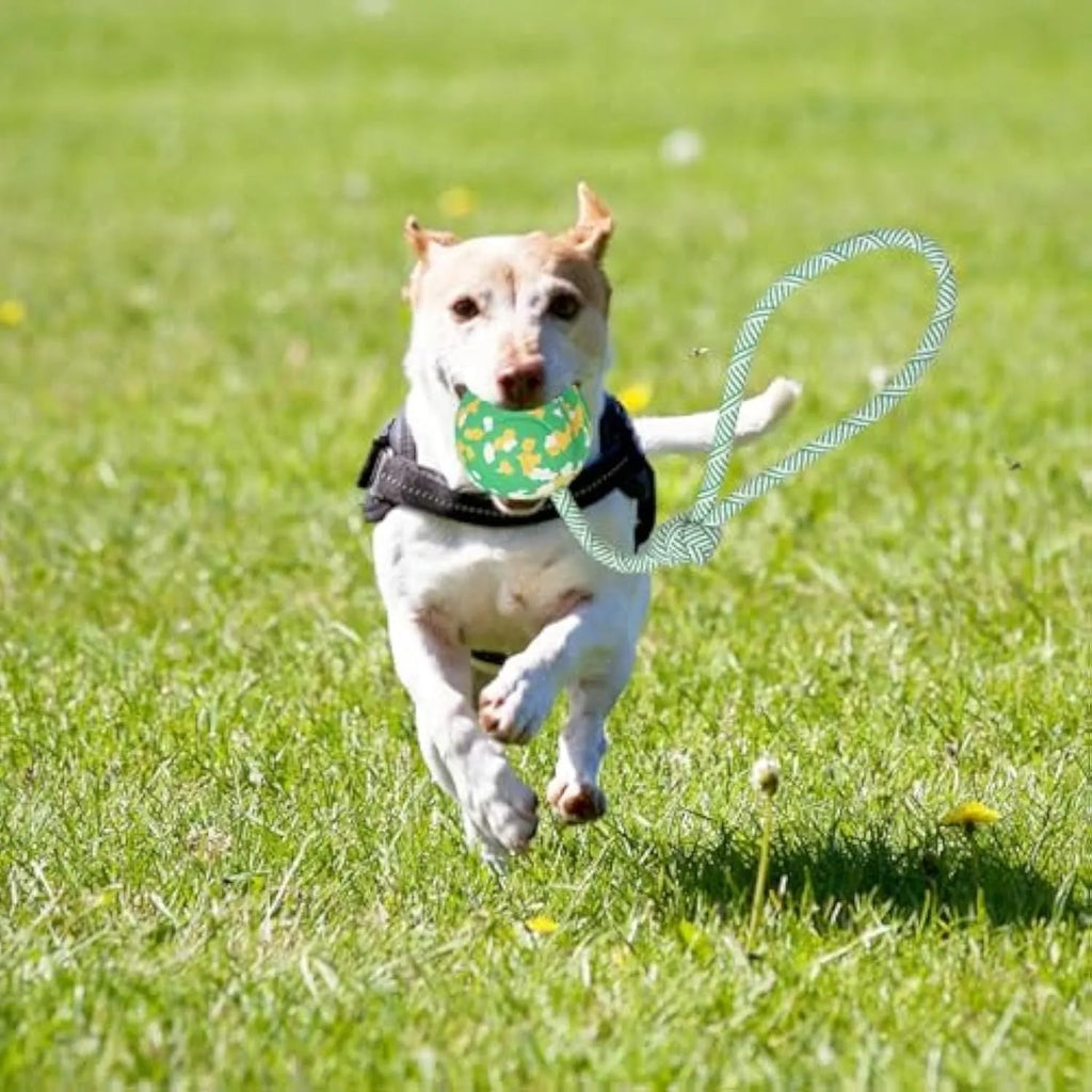 Natural rubber and bamboo fibre dog rope ball toy with nylon rope for medium and small dogs