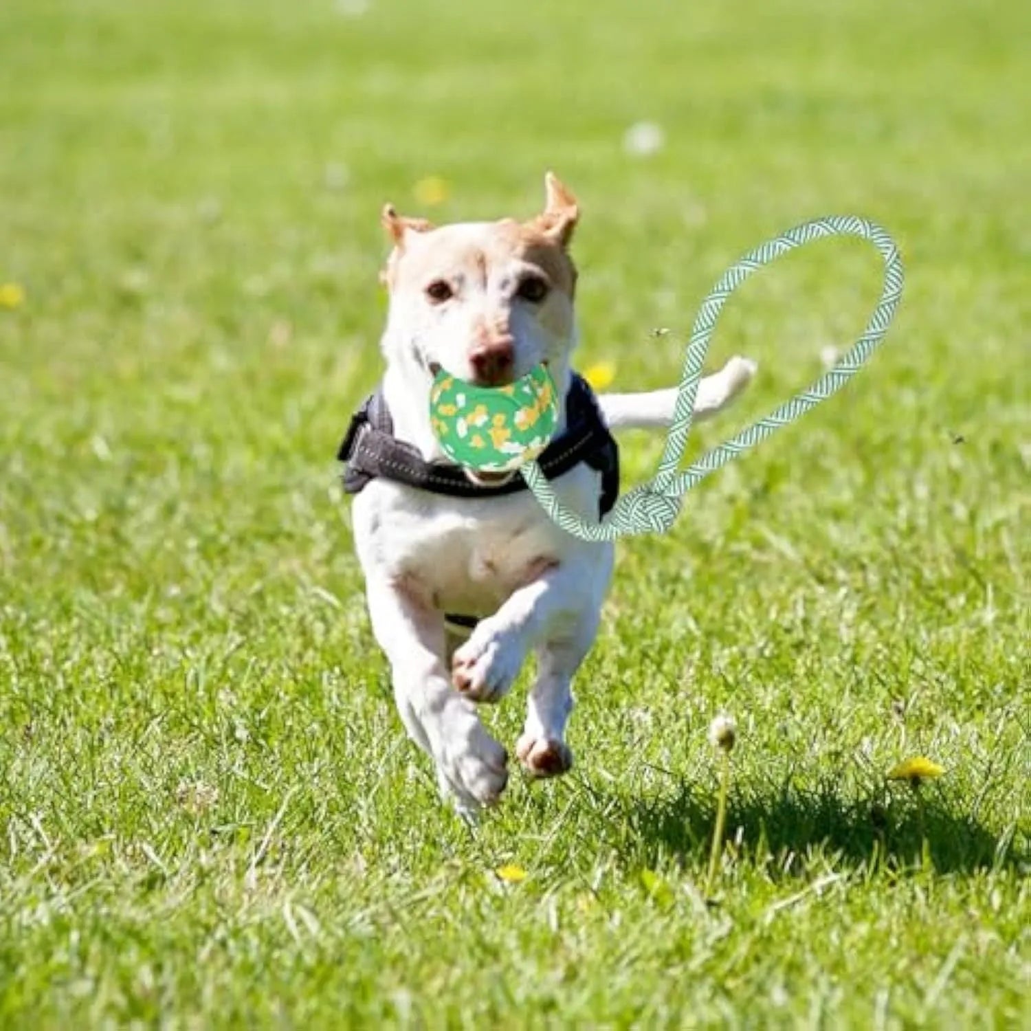 Natural rubber and bamboo fibre dog rope ball toy with nylon rope for medium and small dogs