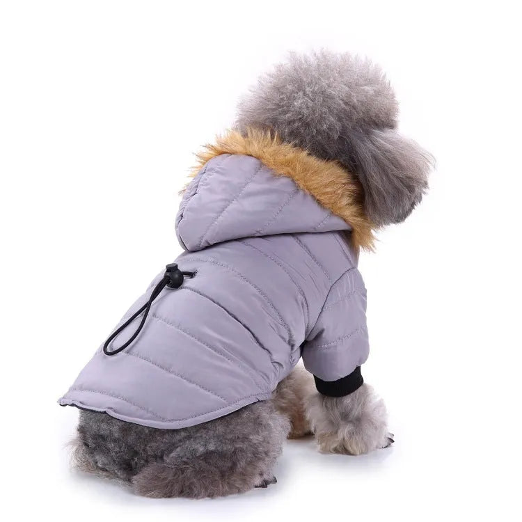 Winter pet dog coat polyester cotton lining available in green grey and red sizes S M L XL
