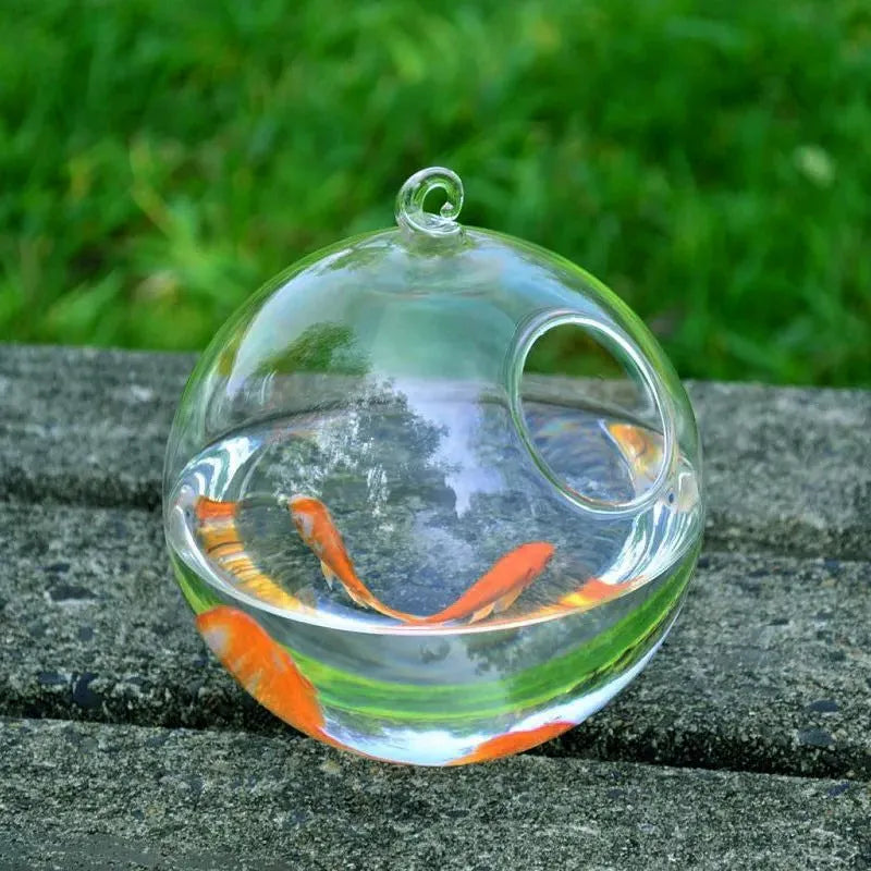 Mini hanging glass vase fish tank made of high borosilicate glass with optional bracket