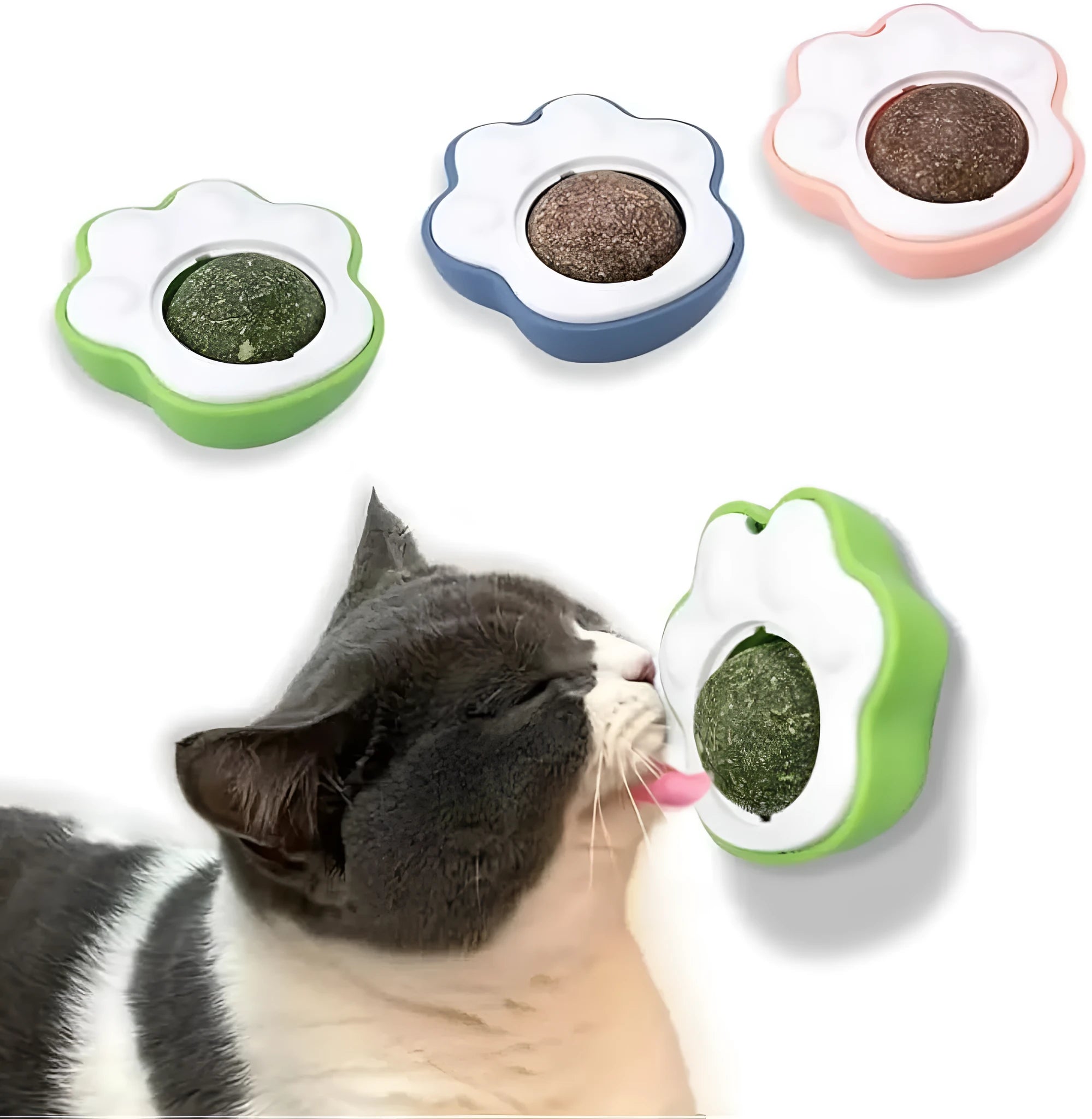 Blue catnip balls and edible vine dental chew toys with wall treat feature for cats