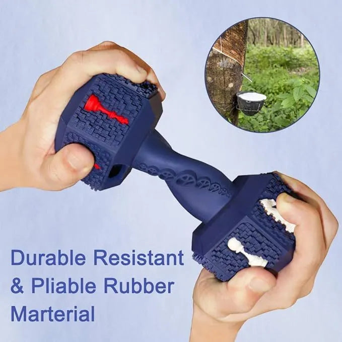 Rubber dumbbell dog chew toy for aggressive chewers with 3D texture and hollow treat compartments