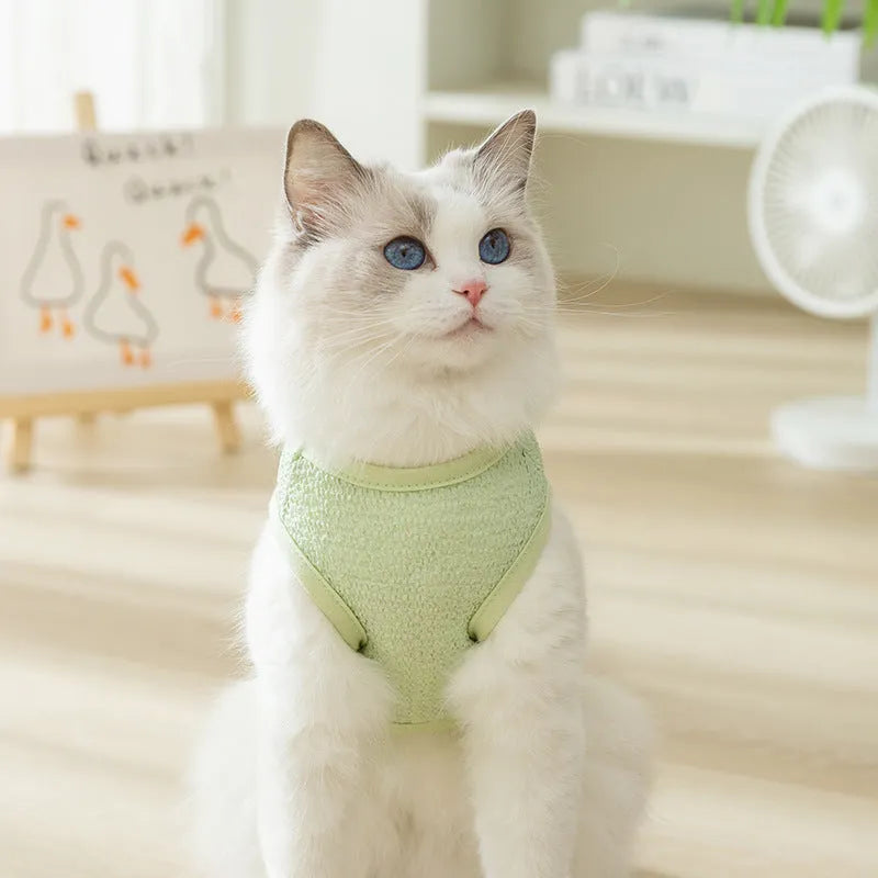 Cat wearing blue knitted clothing with bear patch and hollowed-out breathable design