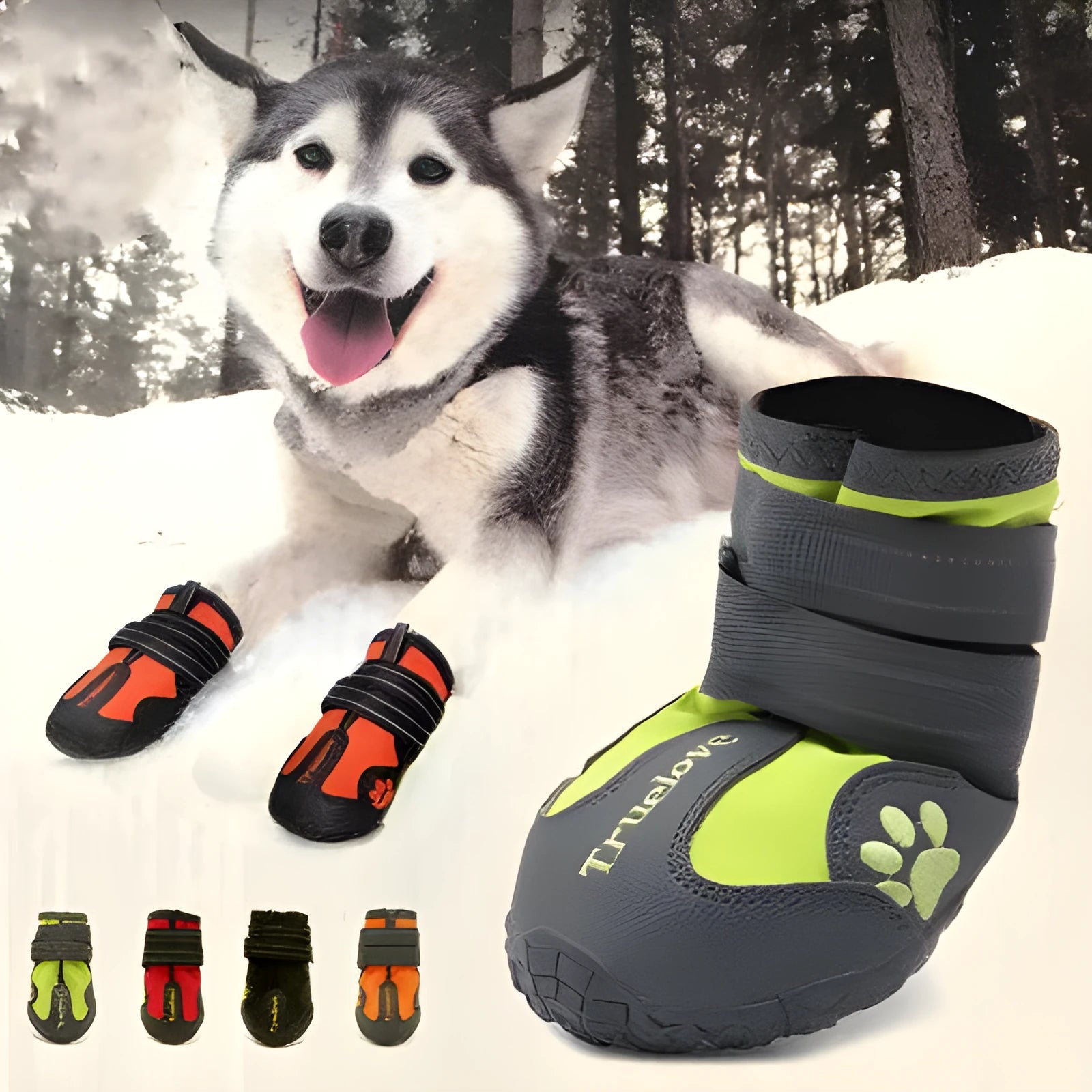 Pair of non-slip waterproof luminous dog shoes in black with double velcro closure