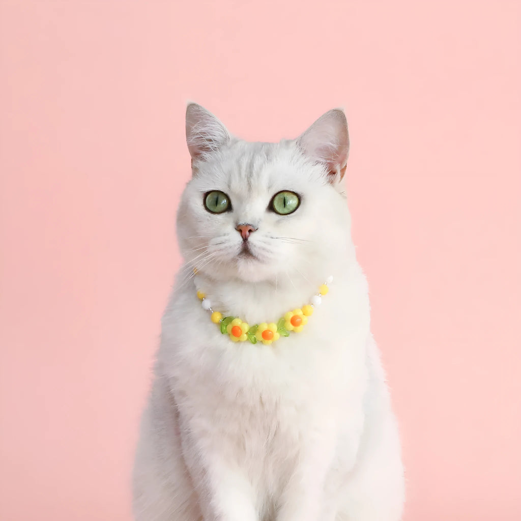 Colourful plastic bead pet necklace for cats with floral and rainbow designs in adjustable XS and S sizing