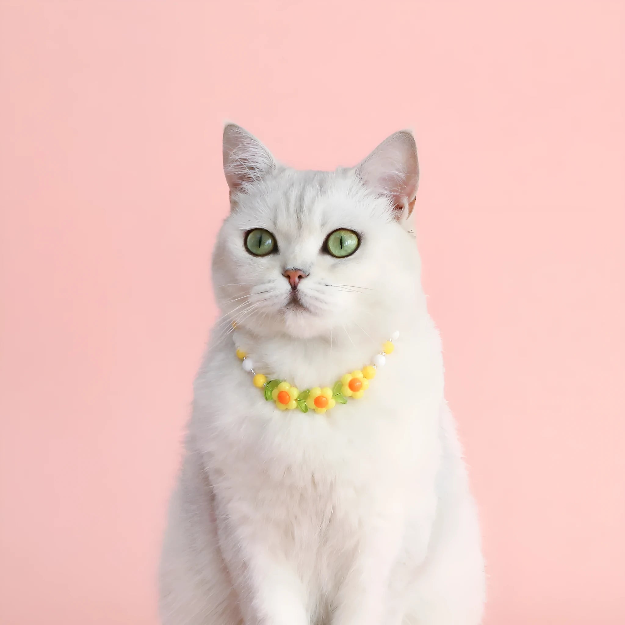 Colourful plastic bead pet necklace for cats with floral and rainbow designs in adjustable XS and S sizing