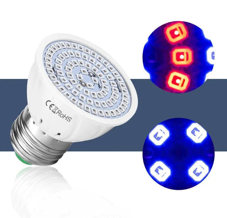 White LED grow light with 80 beads for indoor plant illumination covering 30-80cm² areas