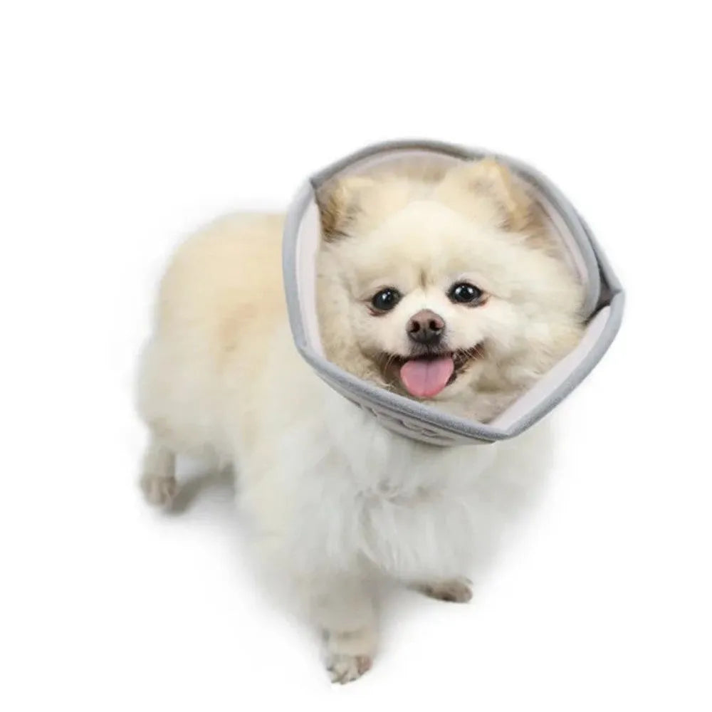 Adjustable soft cone protective collar for cats and dogs in various sizes for post-surgery wound recovery