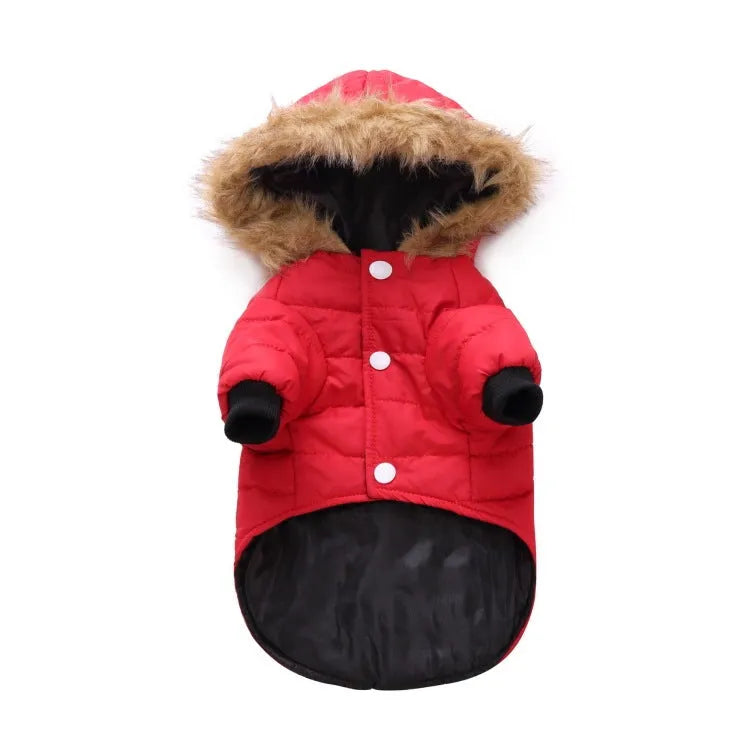 Winter pet dog coat polyester cotton lining available in green grey and red sizes S M L XL