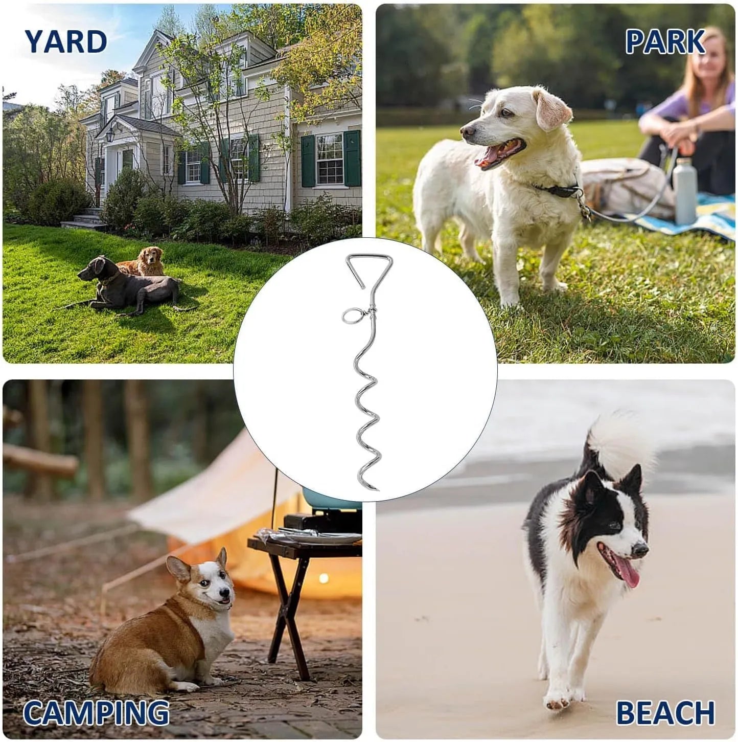 Silver spiral dog tie-out stake for outdoor tethering in sandy ground