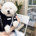 Korean style white pearl collar dog sweater on a small dog, showing the princess style design.