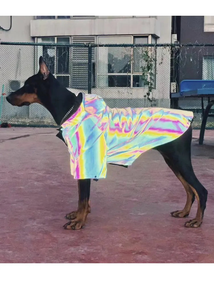 Silver microcrystalline reflective dog coat on a dog, waterproof and windproof, with high-reflective fabric visible in low light.