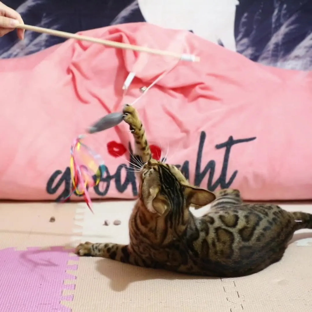 Cat wand toy with wooden handle, colourful ribbons, catnip fish attachment and bell for indoor feline play