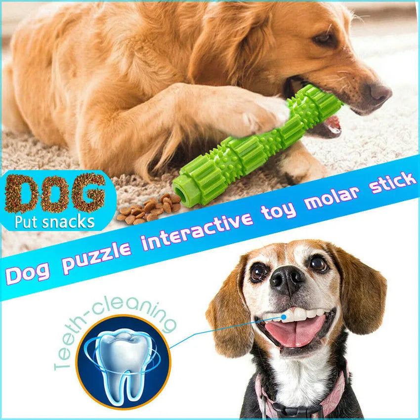 Green and orange natural rubber dog chew toy with treat holes and squeaker for small to medium aggressive chewers.