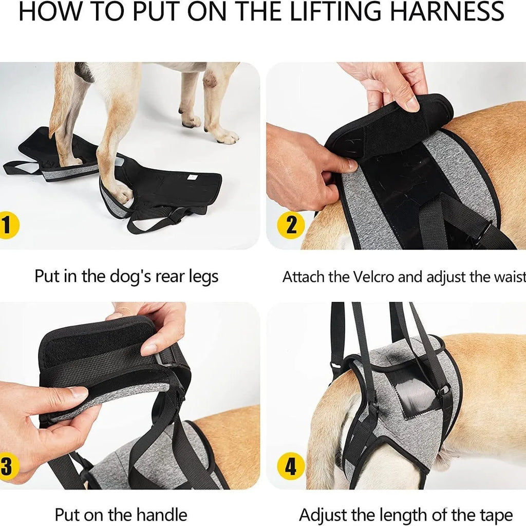 Grey neoprene dog rear leg recovery belt with adjustable straps shown on size chart