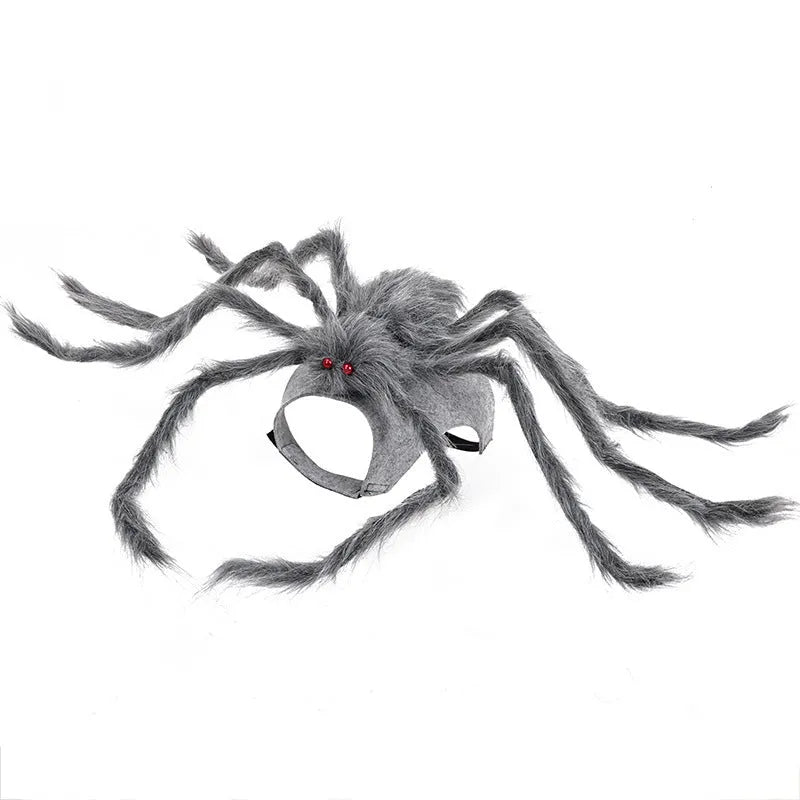 Halloween spider costume for pet dog or cat in black and purple colour