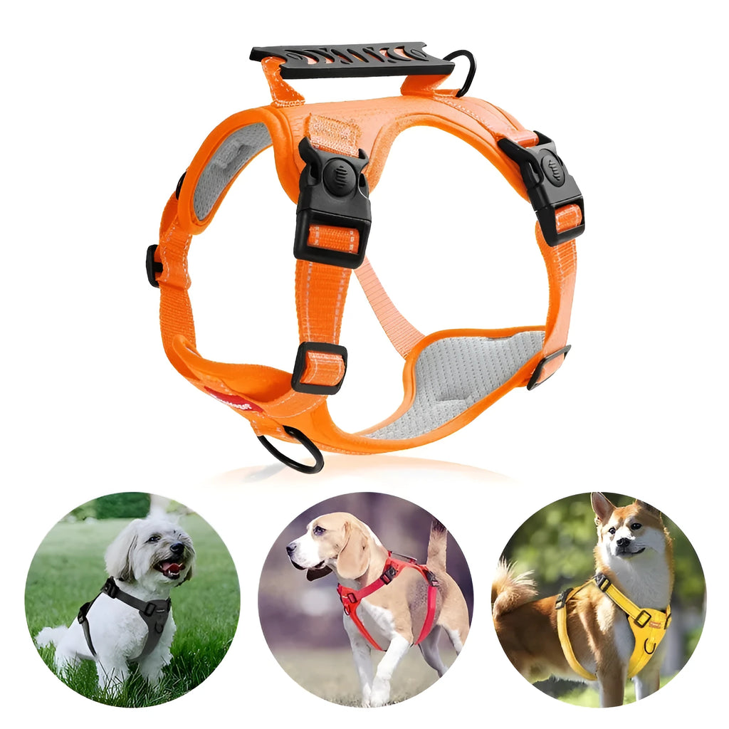 Adjustable polyester dog chest harness and matching lead shown in one of six available colours.