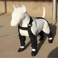 Black waterproof dog shoes with strap closure and non-slip soles for paw protection