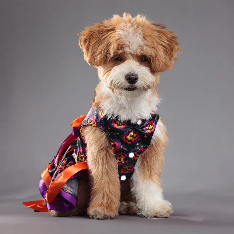 Halloween dog skirt with colourful pumpkin print, shown in size M on a mannequin.
