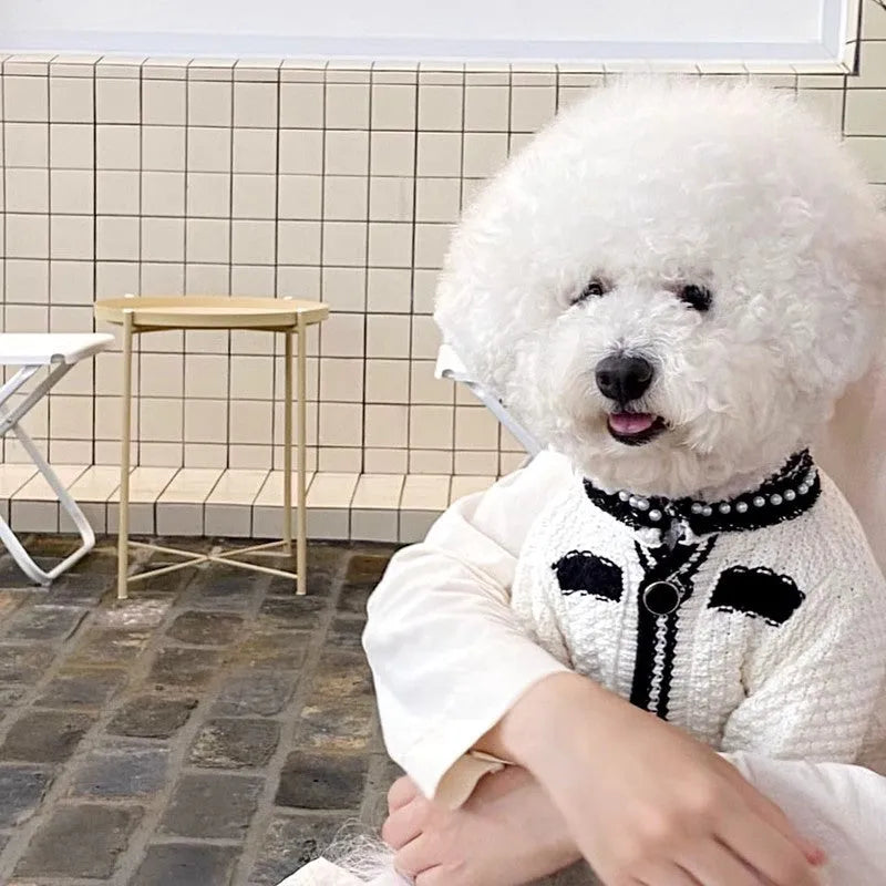 Korean style white pearl collar dog sweater on a small dog, showing the princess style design.