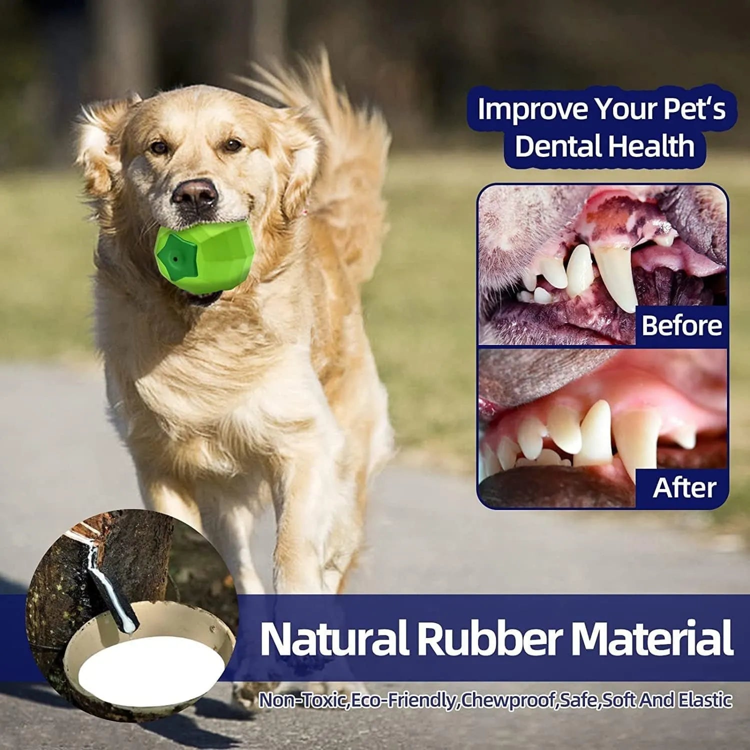 Green natural rubber squeaky dog chew ball toy for large breed dogs
