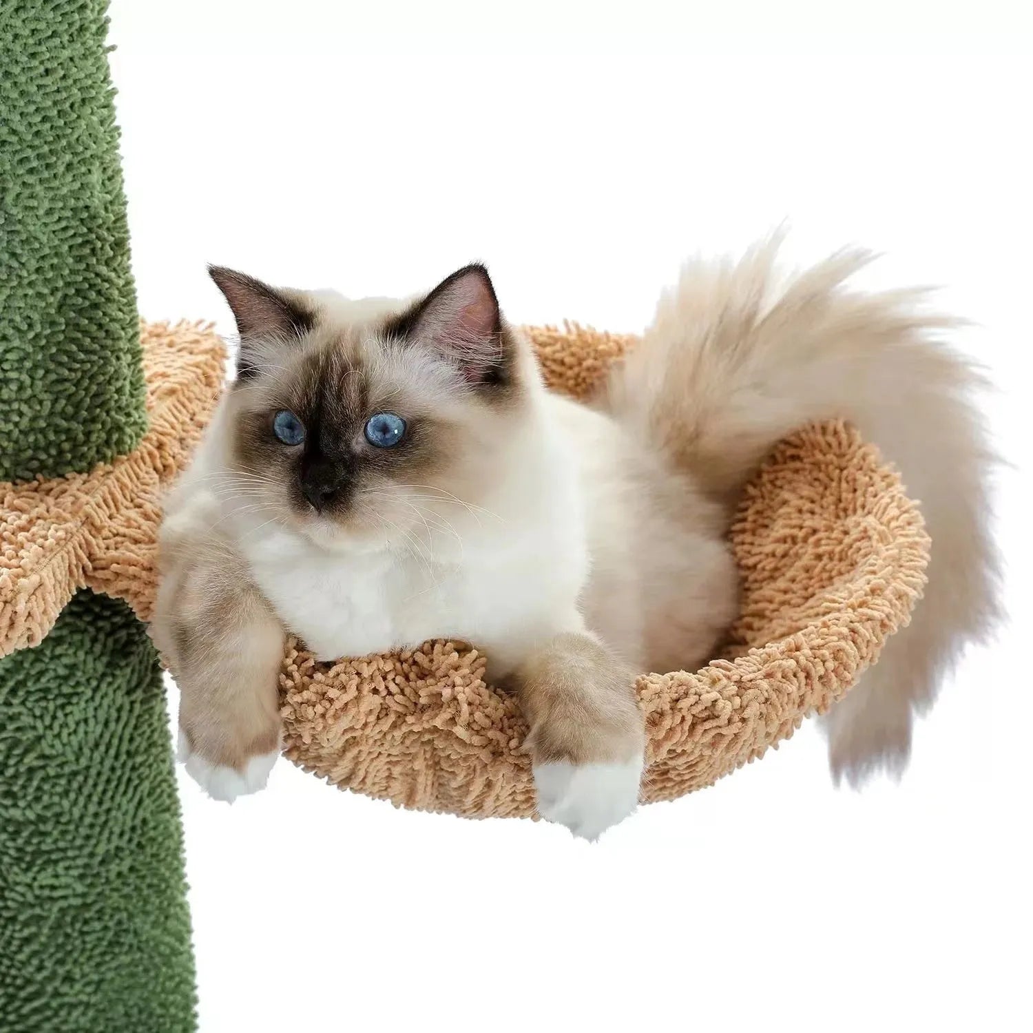 Solid wood cat climbing frame with integrated cactus cat nest and scratch board measuring 240-260cm tall