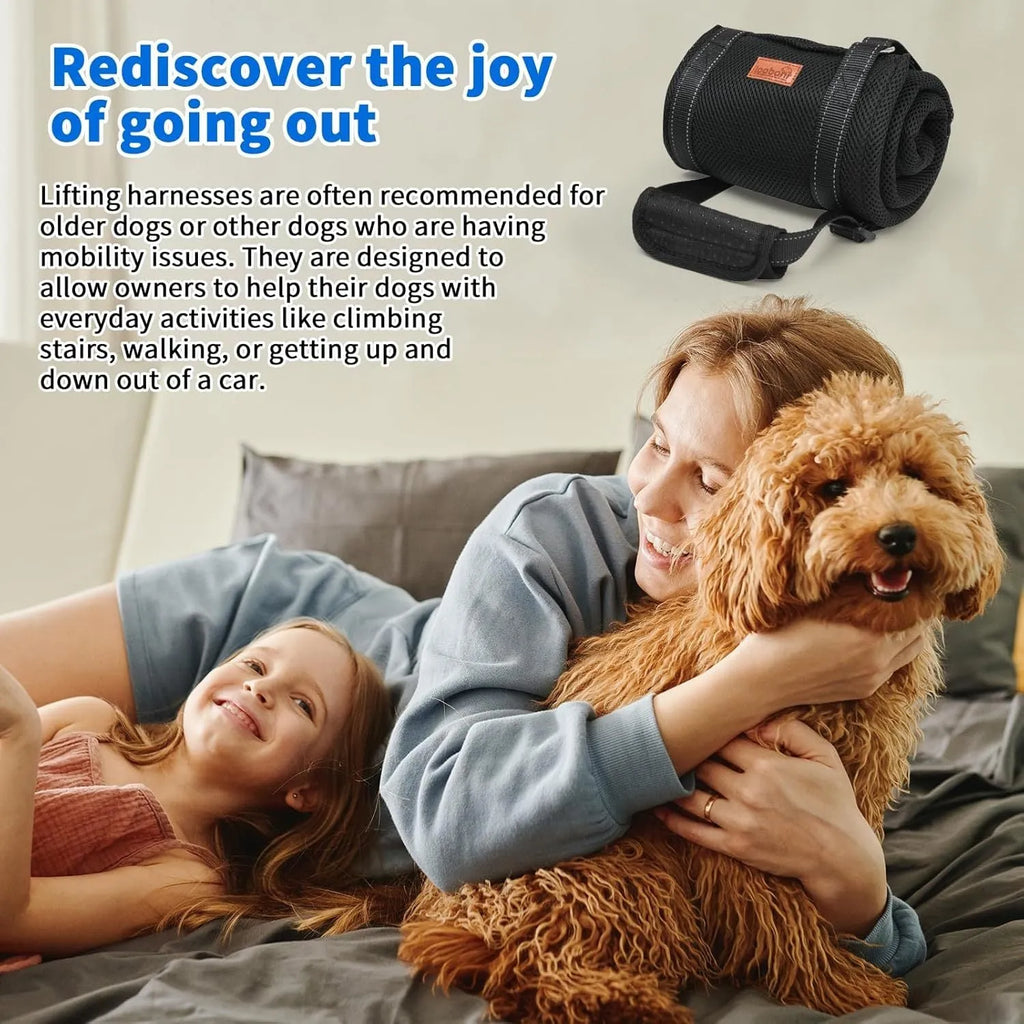 Adjustable dog mobility sling supporting a dog's hindquarters with reflective nylon straps.