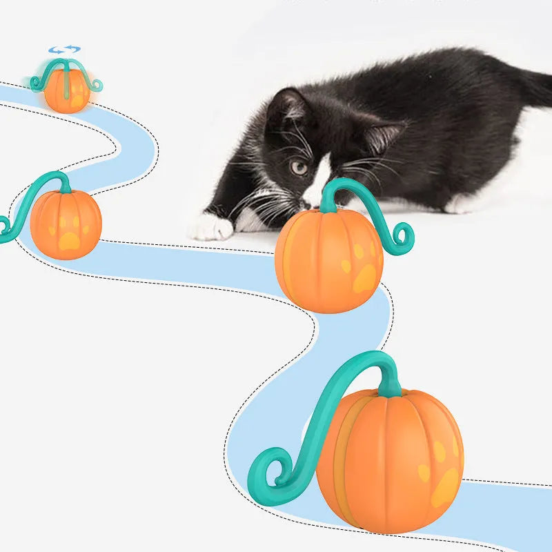 Electric cat toy with LED lights in watermelon and pumpkin designs showing automatic movement feature