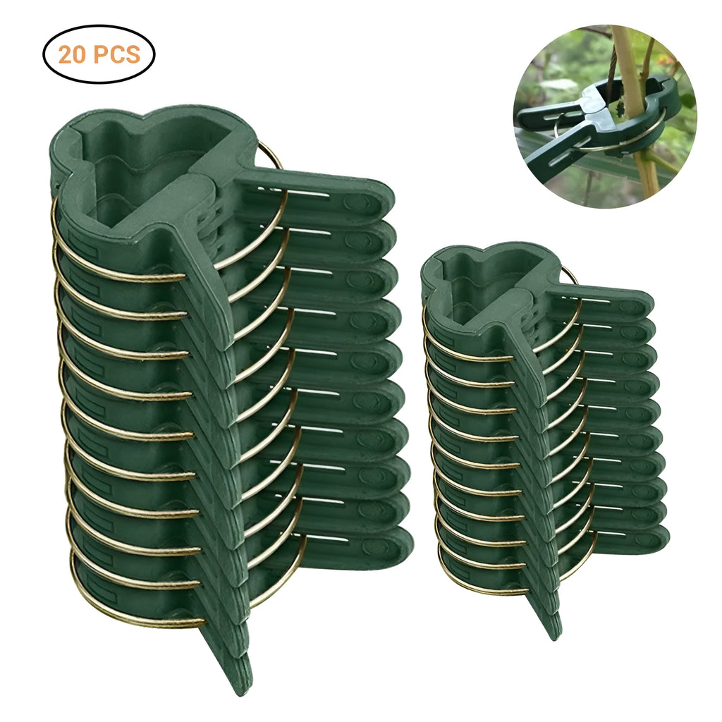Green plastic and zinc plant fixing clips, showing large and small sizes for garden vine and tomato support.