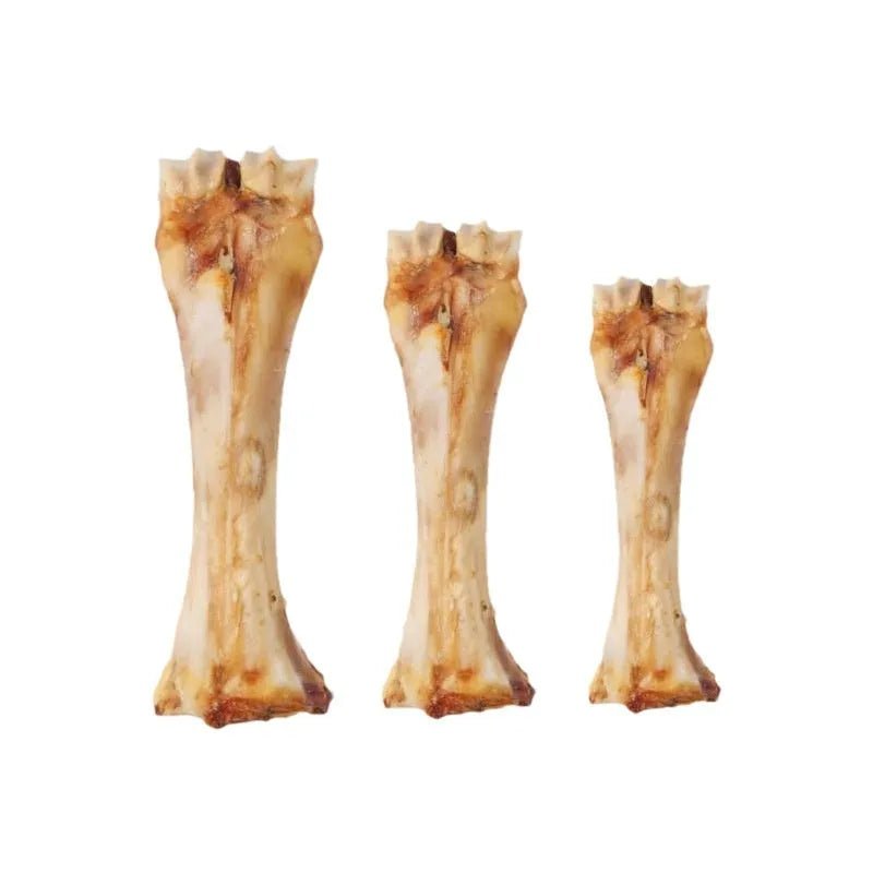 Puppy dental chew toy for teeth cleaning with calcium supplement in roasted ox bone flavour