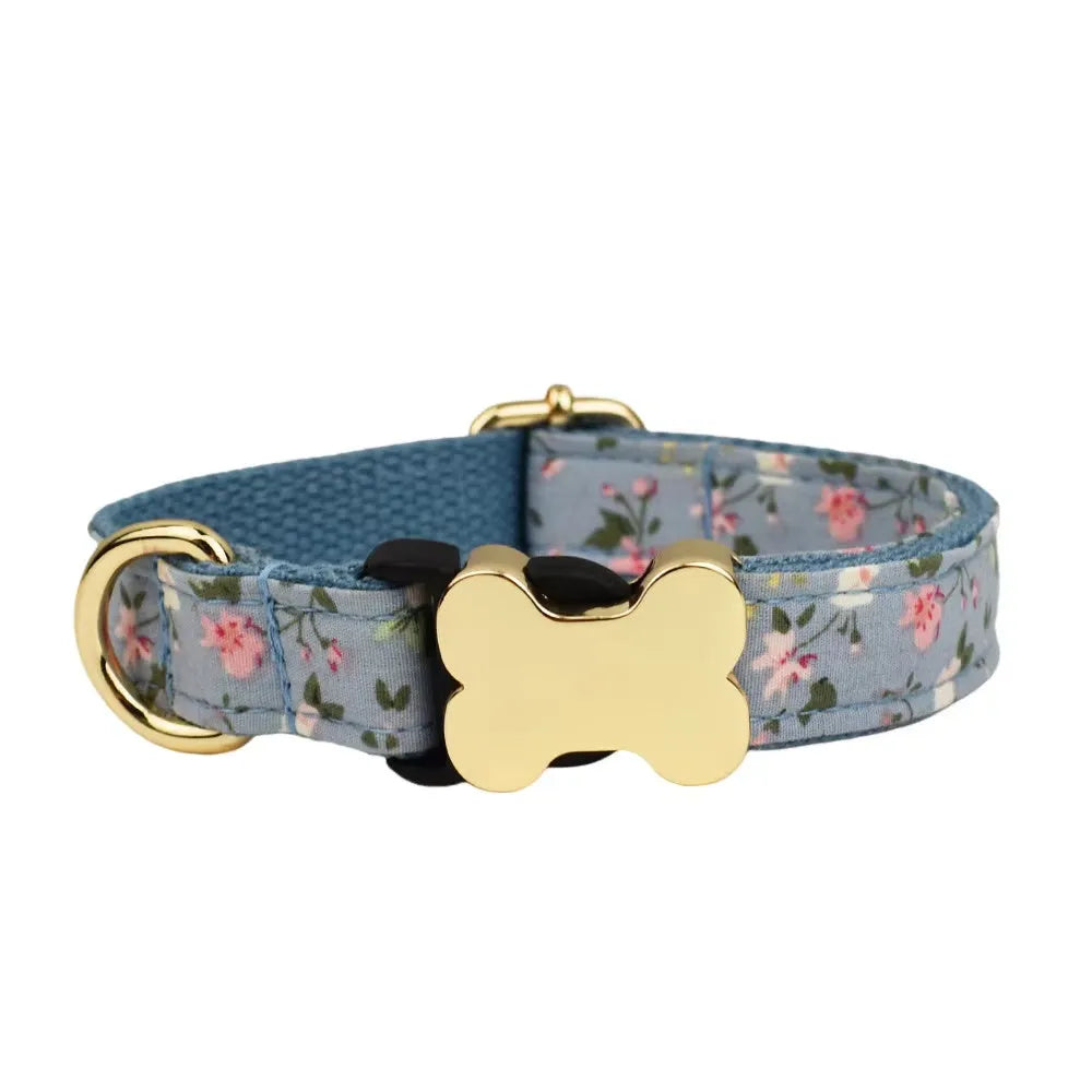 Flat nylon dog collar with bone buckle in assorted colours on a white background.